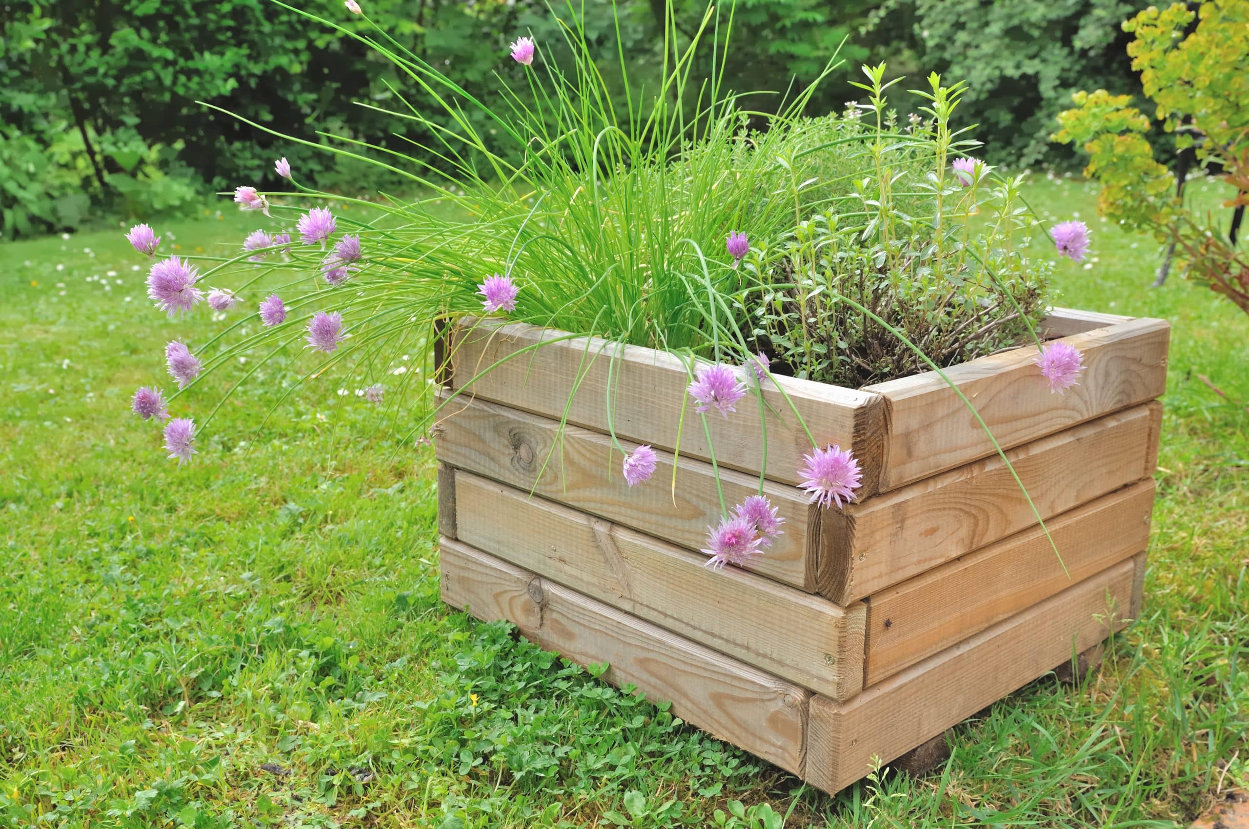 jardiniere bois groupon