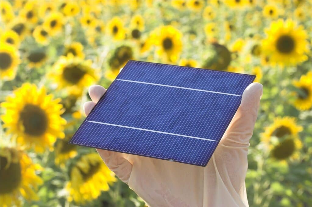 découvrez nos solutions innovantes pour le montage de panneaux solaires. profitez d'installations sécurisées et durables, adaptées à tous vos besoins énergétiques. maximisez l'efficacité de vos panneaux solaires grâce à des systèmes fiables et faciles à installer.