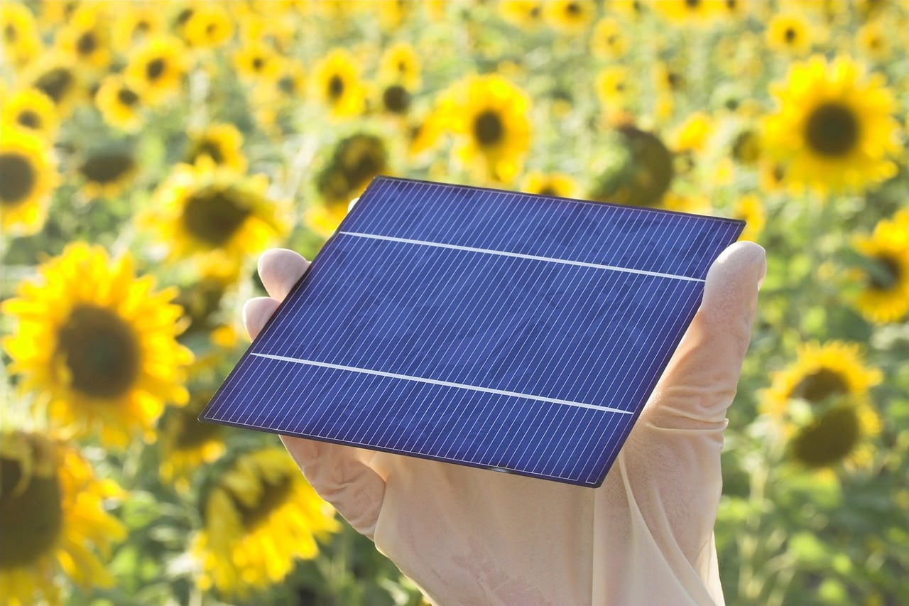 découvrez les panneaux solaires, une solution énergétique écologique et économique pour réduire vos factures d'électricité et contribuer à la protection de l'environnement. apprenez comment installer et entretenir vos panneaux solaires pour un rendement optimal.